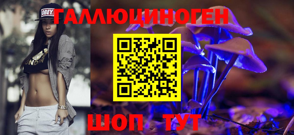 Галлюциногенные грибы Psilocybe  Вход с VPN  Ачинск 
